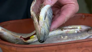 România în bucate: Scrumbie la cuptorul cu lemne, în sos iute acrișor @TVR Tg Mureş)