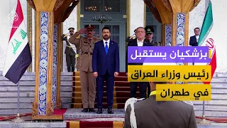 لحظة استقبال الرئيس الإيراني لرئيس الوزراء العراقي في طهران