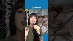 La situación en los zoológicos cubanos vuelve a generar indignación La situación en los zoológicos cubanos vuelve a generar indignación