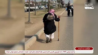 نوزاد ۱۵ روزه‌ای که زائر امام حسین شد | گزارش زنده از مشایه (پیاده روی) اربعین