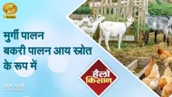 Hello Kisan | हैलो किसान- मुर्गी पालन बकरी पालन आय के स्रोत के रूप में | DD Kisan | January 07, 2026 Hello Kisan | हैलो किसान- मुर्गी पालन बकरी पालन आय के स्रोत के रूप में | DD Kisan | January 07, 2026