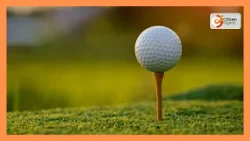 В первом межшкольном турнире по гольфу приняли участие 21 школа. В первом межшкольном турнире по гольфу приняли участие 21 школа.