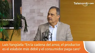 “En la cadena del arroz, el productor es el eslabón más débil y el consumidor paga caro”