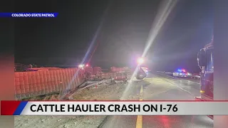 Cattle hauler crash on I-76