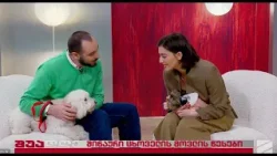 შუშანა და მოლი, შინაური ცხოველების მოვლა-ლიზა ლომიძე; შუადღე-2026.02.06