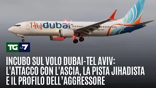 Nightmare on the Dubai-Tel Aviv flight: The axe attack, the jihadist trail, and the unanswered qu...
