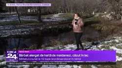 Bărbat scos din lac de jandarmi după ce a încercat să scape de o haită de câini într-un parc