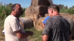NORI CATENA ON THE AGRICULTURAL CRISIS