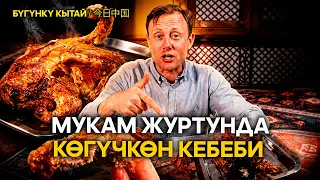 Мукам журтунда көгүчкөн кебеби менен жолугушуу | ЖУҢГО ШИНЖАҢ радио теле станциясы