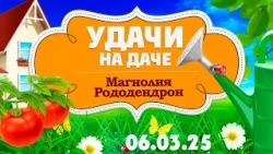 Удачи на даче. Магнолия  (06.03.2025)