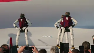 Roboti igraju moravac