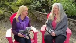 Pet CHEK: Tiny Miniature Schnauzer 'Trouble' is actually a total sweetheart