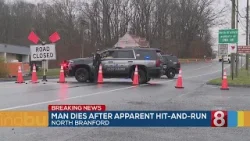Man dies after apparent hit-and-run in North Branford