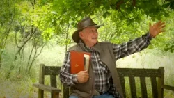 Ангус Бьюкен | Поздравление с Рождеством