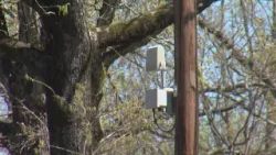 ShotSpotter technology to stay after Little Rock city board approves renewal