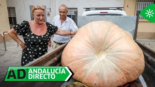 Andalucía directo | Viernes 4 de septiembre