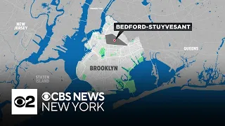 4 hurt after tree falls in Brooklyn park