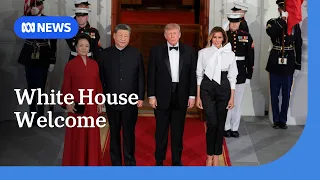 Trump hails US-China relations as Xi says leaders must act responsibly | ABC NEWS