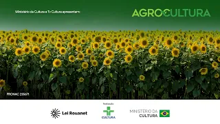 Agrocultura | Coffee price hike, sunflower harvest, and tomato innovation | 07/26/2026