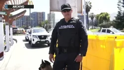 231 personas detenidas durante la última semana entre las cifras del Comité Policial de Antofagasta