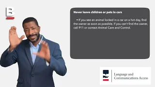 Never Leave Children or Pets in Cars