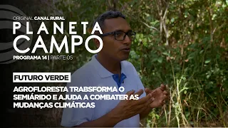 Agroforestry transforms the Semiarid region and fights climate change | Planeta Campo - ep.14 part 5