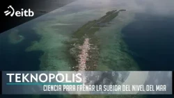 TEKNOPOLIS: Science to curb rising sea levels