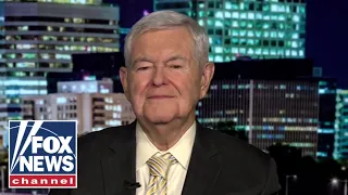 Newt Gingrich: These people are CRAZY