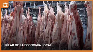 Pork sector reaches 19.8 million pounds of production