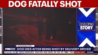 Dog fatally shot by delivery driver in Prince George’s County | FOX 5 AT 6AM