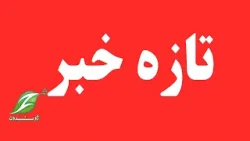 Присутствие представителя Исламского Эмирата в ООН — это требование афганского народа, заявил пос... Присутствие представителя Исламского Эмирата в ООН — это требование афганского народа, заявил пос...