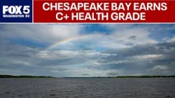 Chesapeake Bay earns highest health grade in 40 years