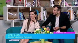 Какво знаем за езика на птиците и поведението им в природата?