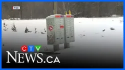 Снежная буря сеет хаос: обрушиваются купола, доставка почты приостановлена, отключается электриче...