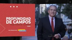 Profundidad de Campos - Senador Matías Walker | Vicepresidente del Senado