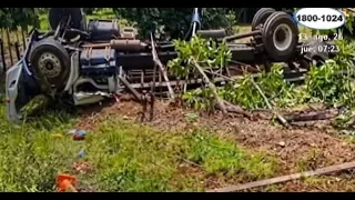 Cattle truck rollover leaves one dead in Caribbean