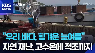 High Water Temperatures and Red Tides… Aquaculture Farms Remain in Crisis / KBS 09/01/2026