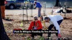 Вторник, 31 марта 2026 г. - Обновление 2