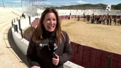 Claves para ser un buen perro pastor