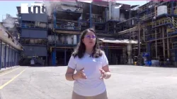 ? La Notificación ? ¡Motor Económico! El azúcar se consolida como el "Oro Blanco" de Nicaragua