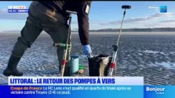 Les pêcheurs à pied peuvent utiliser de nouveau les pompes à vers