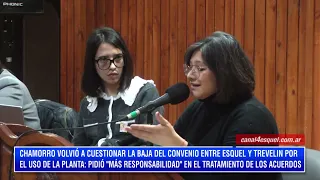 EVANGELINA CHAMORRO: ONCE AGAIN QUESTIONS THE TERMINATION OF THE AGREEMENT BETWEEN ESQUEL AND TRE...
