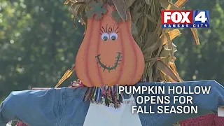 Pumpkin Hollow opens at Deanna Rose Children's Farmstead