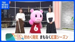 [Oct 13 Kanto Weather] Autumn-like weather, foliage season is just around the corner | TBS NEWS DIG