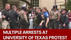 University of Texas Palestine protest leads to 20+ arrests, including FOX 7 photographer | FOX 7 Aus