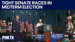 Tight Senate races to watch in midterm elections | FOX 13 Seattle