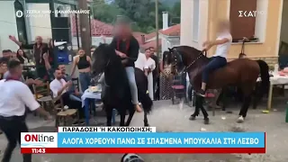 Άλογα χορεύουν πάνω σε σπασμένα μπουκάλια στη Λέσβο | ONline | 10/08/2026
