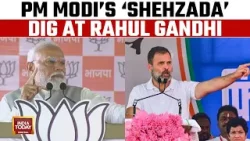 PM's Dig At Rahul Gandhi: Like Amethi, He'll Run Away From Wayanad Too | Lok Sabha Election 2024