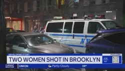 В Бруклине две женщины получили огнестрельные ранения. В Бруклине две женщины получили огнестрельные ранения.