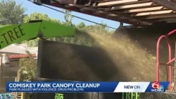 Mid-City parks undergo tree cleanup to improve safety and visibility